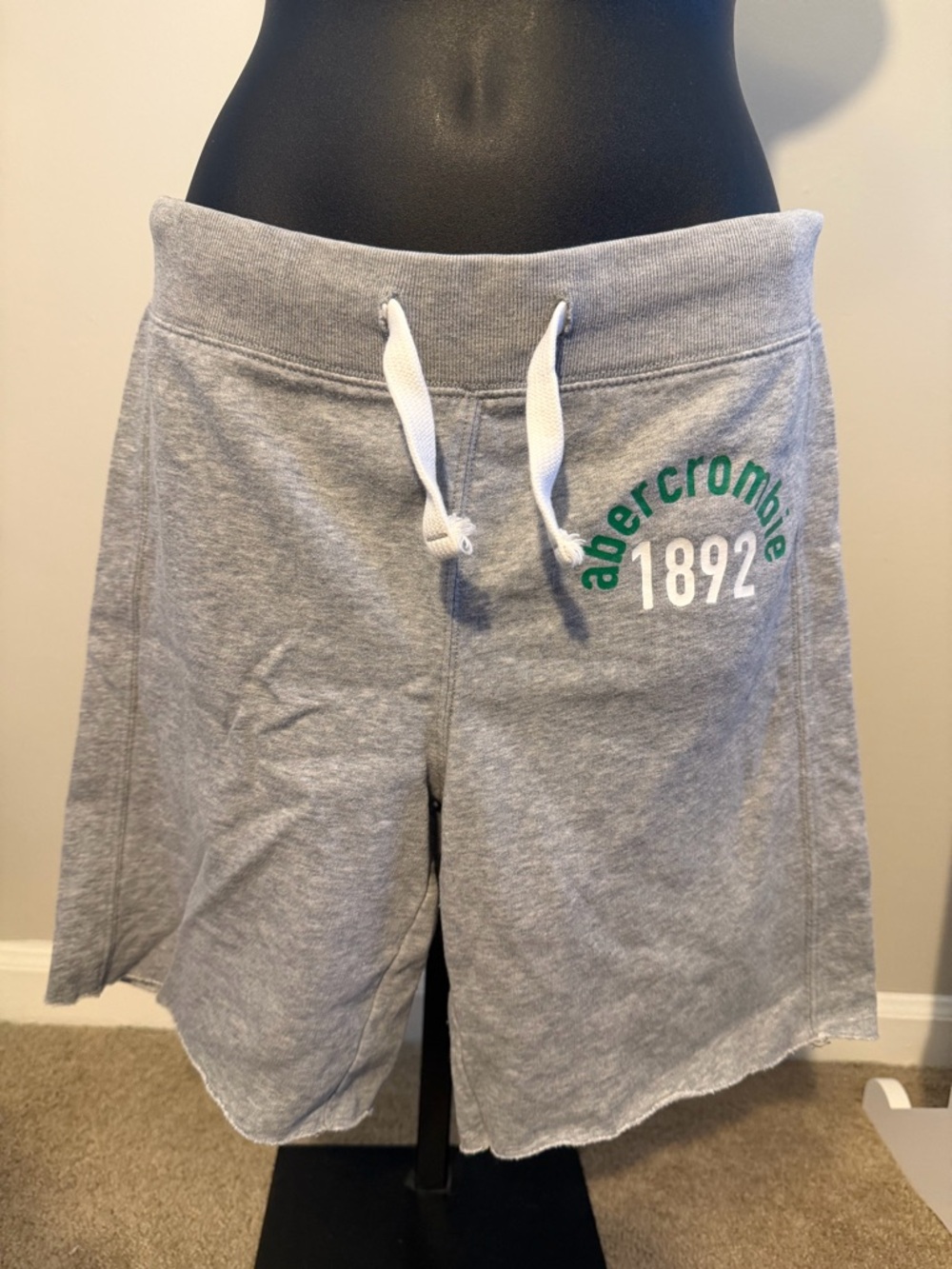 Abercrombie Shorts